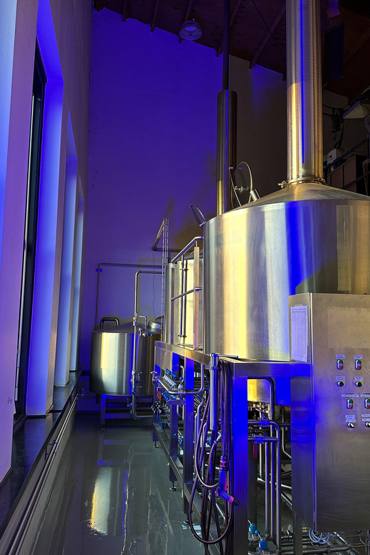 Breugem Brewery: Beer tasting - Four Dutch beers in one sitting