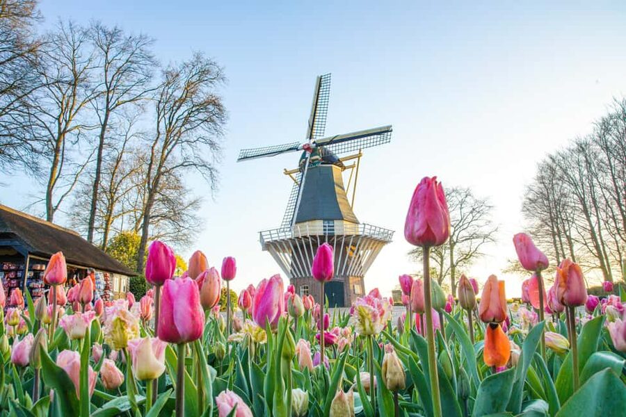 Brussels: Holland Keukenhof & Kinderdijk Guided Day Tour - Keukenhof: three hours among spring flowers