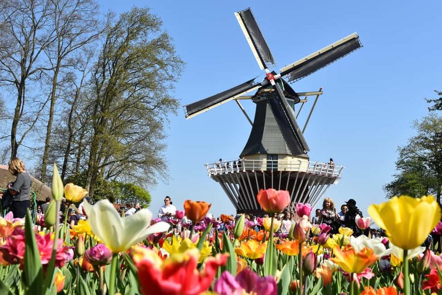 Brussels: Holland Keukenhof & Kinderdijk Guided Day Tour - Guides, languages, and the feel of the tour