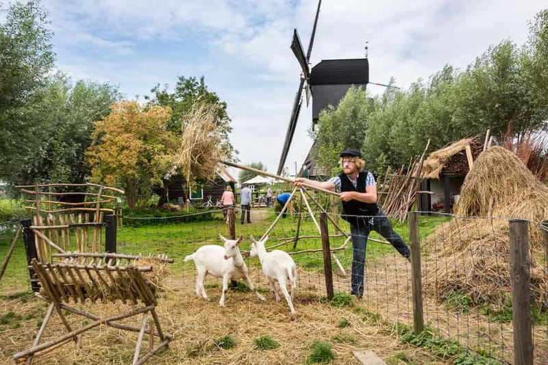 Brussels: Holland Keukenhof & Kinderdijk Guided Day Tour - Is $192 good value?