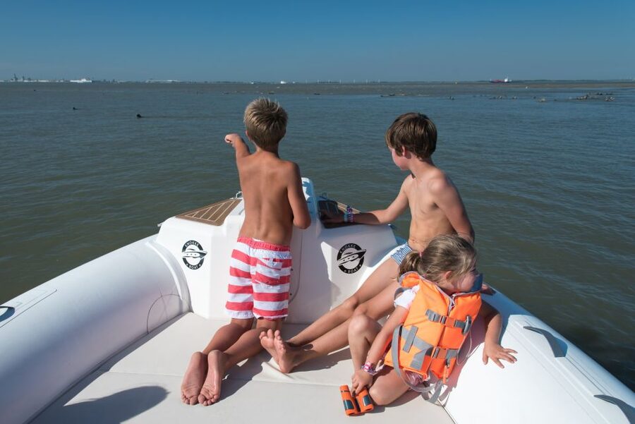 Cadzand: Seal Discovery Boat Tour with Glass of Champagne - Key points before you book