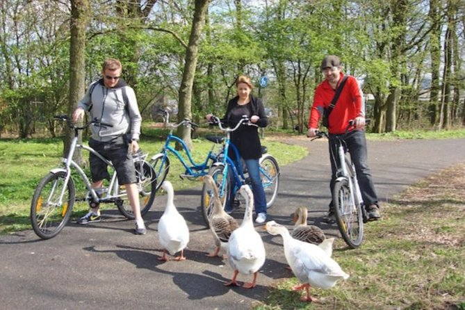 Cheese, Canals & Windmill Countryside E-Bike Tour Amsterdam - What the e-bikes are like to ride