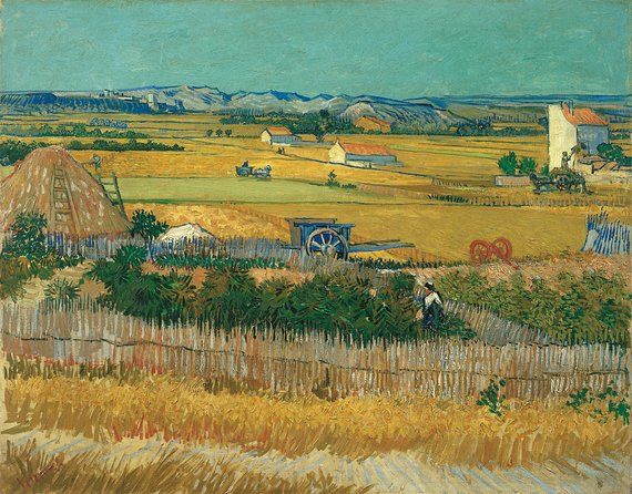 Combo Ticket: Van Gogh Museum Ticket and 1-Hour Canal Cruise - From the museum to the cruise booking office