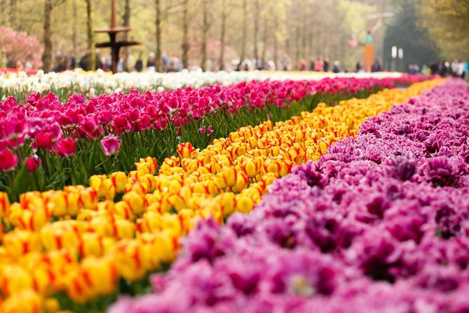 Day Trip to Keukenhof Gardens from Amsterdam with Tour Guide - Finding the green umbrellas at Amsterdam Central