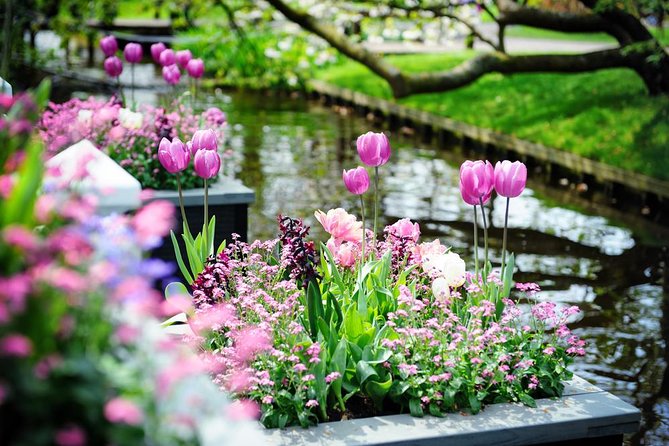 Day Trip to Keukenhof Gardens from Amsterdam with Tour Guide - The 45-minute introduction at Oranje Nassau Pavilion