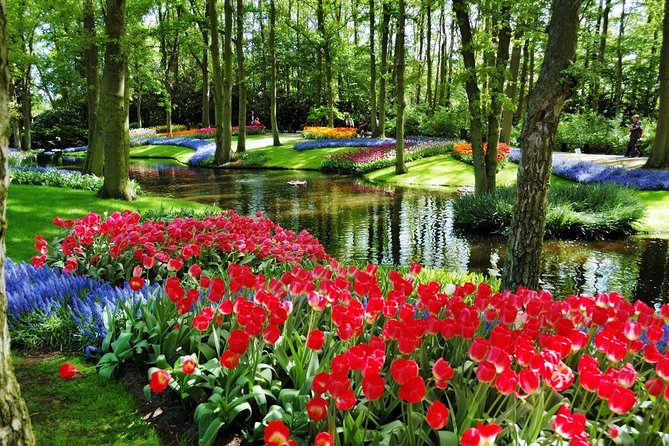 Day Trip to Keukenhof Gardens from Amsterdam with Tour Guide - What the $71.20 price really buys you