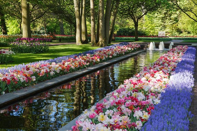 Day Trip to Keukenhof Gardens from Amsterdam with Tour Guide - The ride from Amsterdam and what it adds