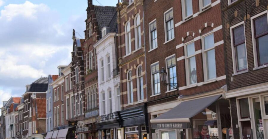 Delft: Private Historical and Cultural Guided Walking Tour - The Prince’s Court, the beguinage, and the last old windmill