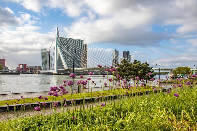 Discover Rotterdam’s most Photogenic Spots with a Local - Key points at a glance