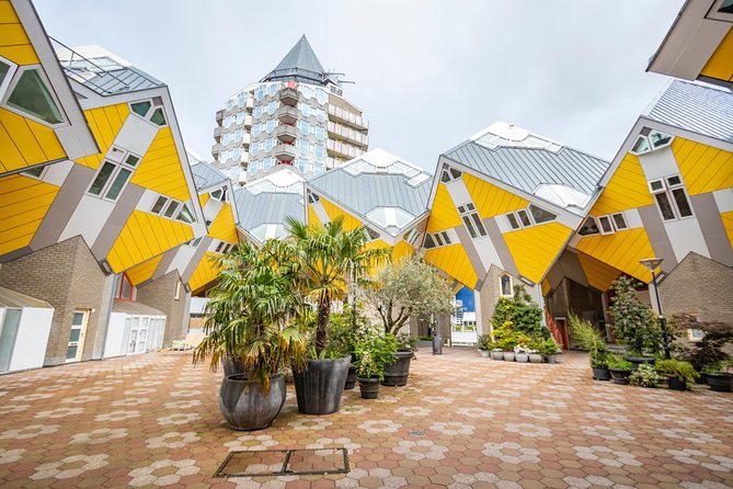 Discover Rotterdam’s most Photogenic Spots with a Local - Market Hall, Rotterdam’s grandest photo stop
