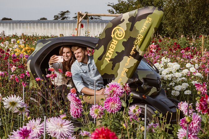 Drive it yourself electric Dune & Summer Flower GPS audio tour - Keukenhof Castle’s Dahlia Show Gardens