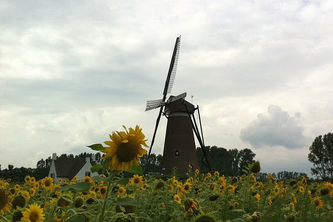 Eindhoven: E-Fatbike Tour In The Footsteps of Vincent van Gogh - Starting in Eindhoven with an E-Fatbike