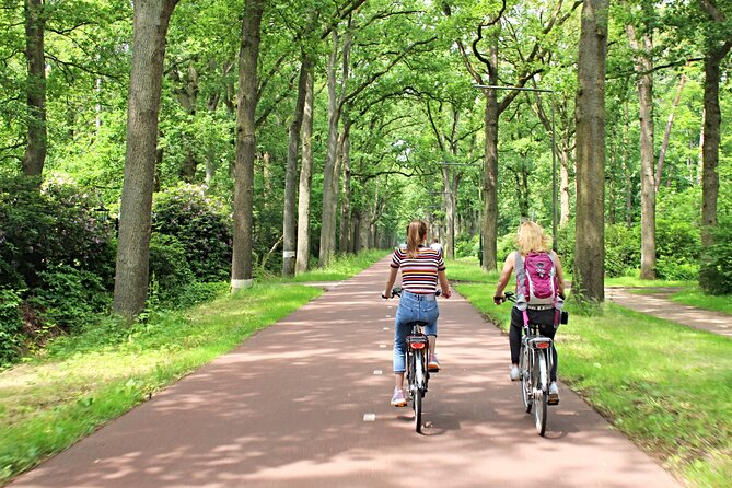 Eindhoven: Guided bicycle tour of the Highlights of Eindhoven - A green pause at Philips De Jongh Park