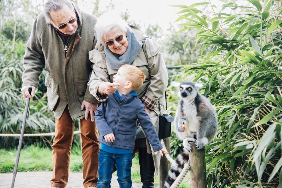 Eindhoven Zoo Entry Ticket - Polar bears, penguins, and smaller animals