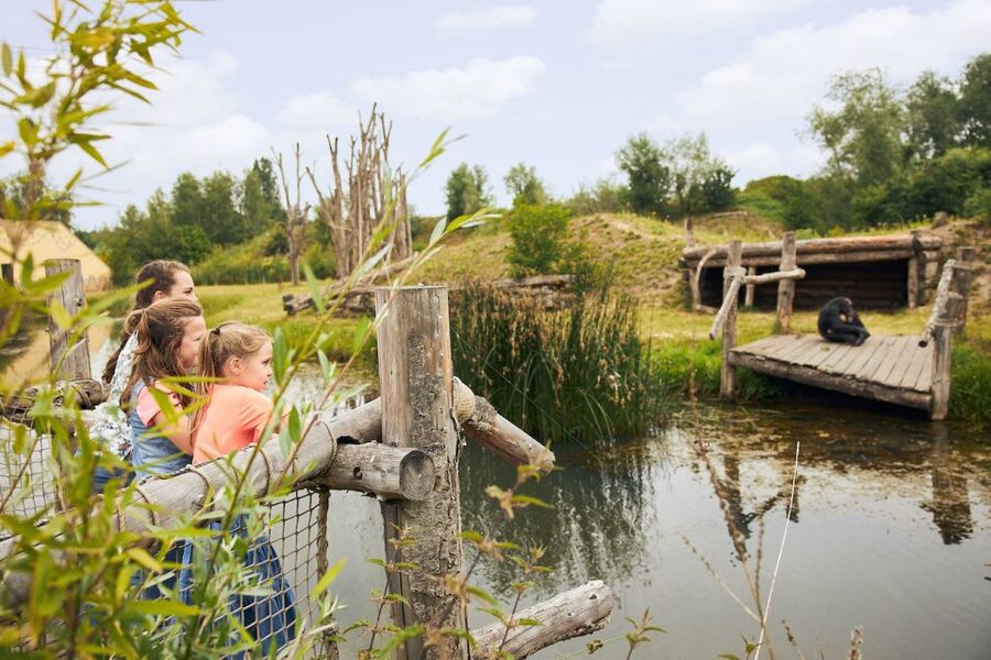 Eindhoven Zoo Entry Ticket - The bird collection deserves real time
