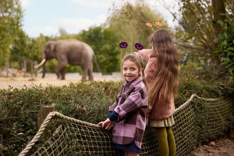 Eindhoven Zoo Entry Ticket - Planning a comfortable full day