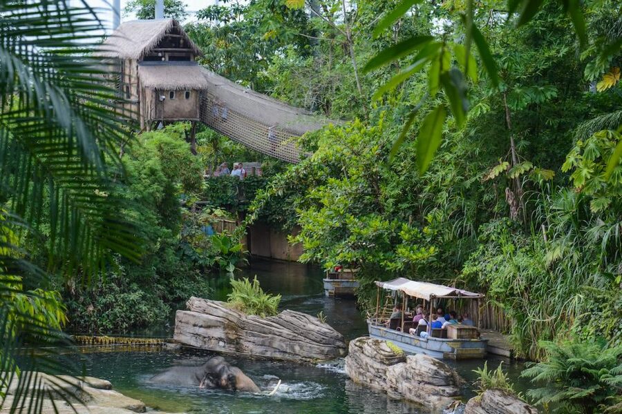 Emmen: Wildlands Adventure Zoo and Rimbula River Boat Ride - Serenga brings the safari truck close to the animals