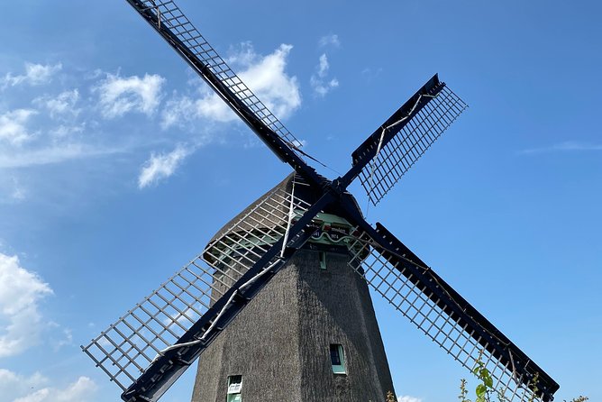 Escape Amsterdam: E-Bike to Zaanse Schans Windmills & Zaandam - Zaanse Schans: the main cultural stop