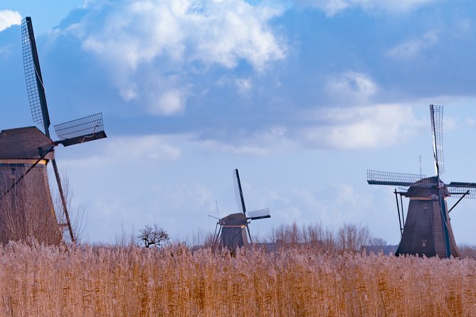 Famous Holland Tour: visit The Hague, Delft, Rotterdam and Kinderdijk from A'dam - The Hague and the Binnenhof