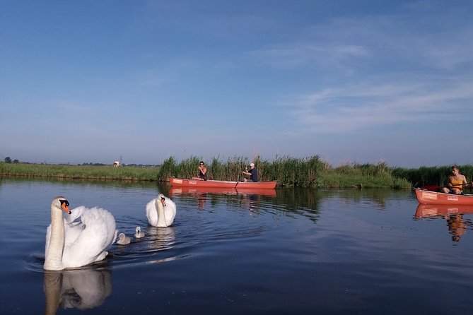 Fresh nose tour with the canoe through the nature near Amsterdam - Returning through Watergang’s small bridges