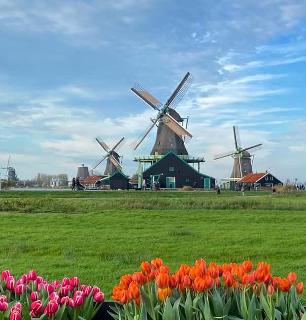 From Amsterdam; Alkmaar Cheese market & Zaanse Schans - Key points to know before booking