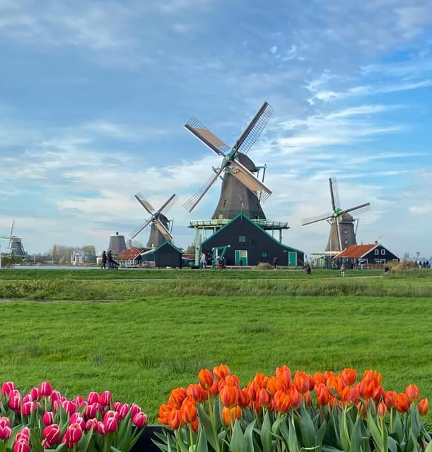 From Amsterdam; Alkmaar Cheese market & Zaanse Schans - Why the guide matters on this route