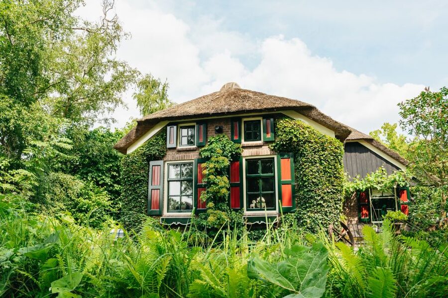 From Amsterdam: Giethoorn & Zaanse Schans Tour w/ Small Boat - The one-hour whisper boat experience