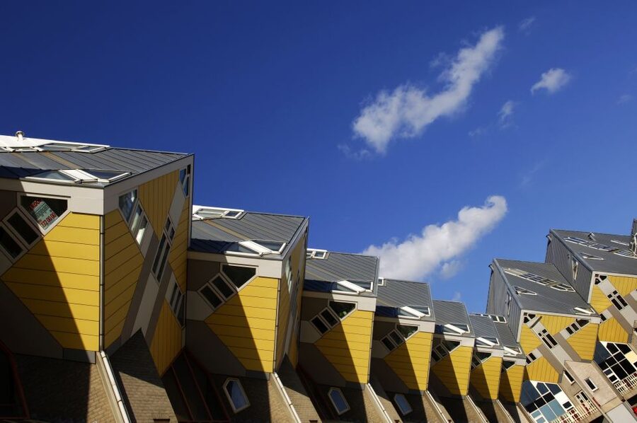From Amsterdam: Guided Trip to Rotterdam, Delft & The Hague - What the $81 price really covers