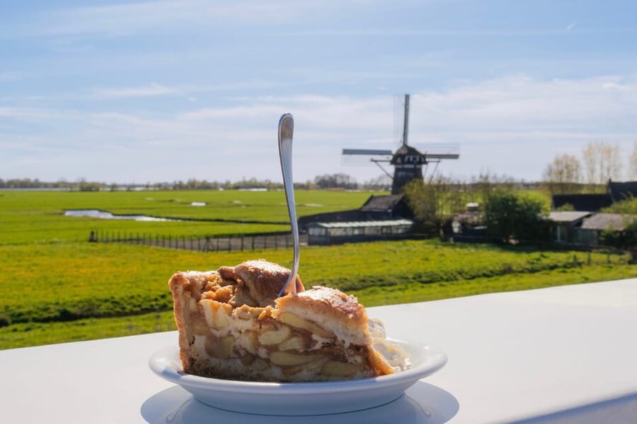 From Amsterdam: Holland Flower and Windmill Tour - summer ed - Cruising the Kagerplassen past 18 windmills