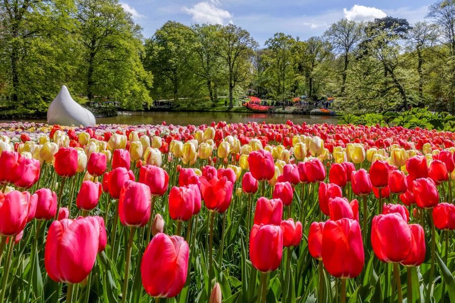 From Amsterdam: Keukenhof and Dutch Countryside Tour - Meeting at Amsterdam Central Station