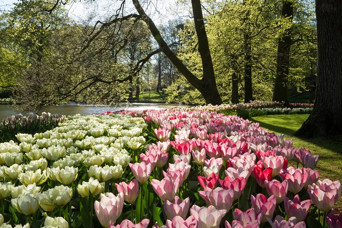 From Amsterdam: Keukenhof Gardens Ticket and Transfer - The optional audio guide and canal cruise