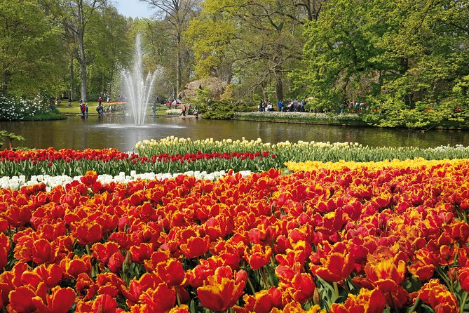 From Amsterdam: Keukenhof Gardens Ticket and Transfer - Return transport needs your attention