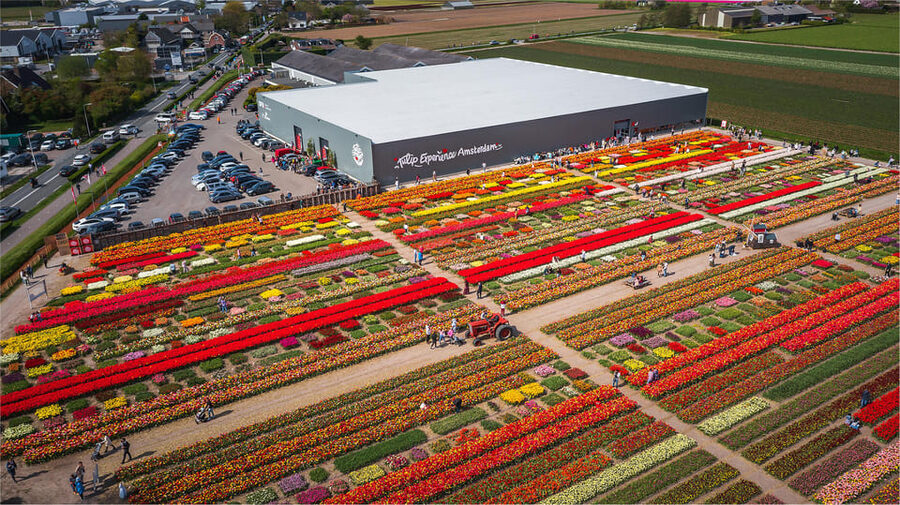 From Amsterdam: Keukenhof Gardens & Tulip Experience Tour - How much walking should you expect?