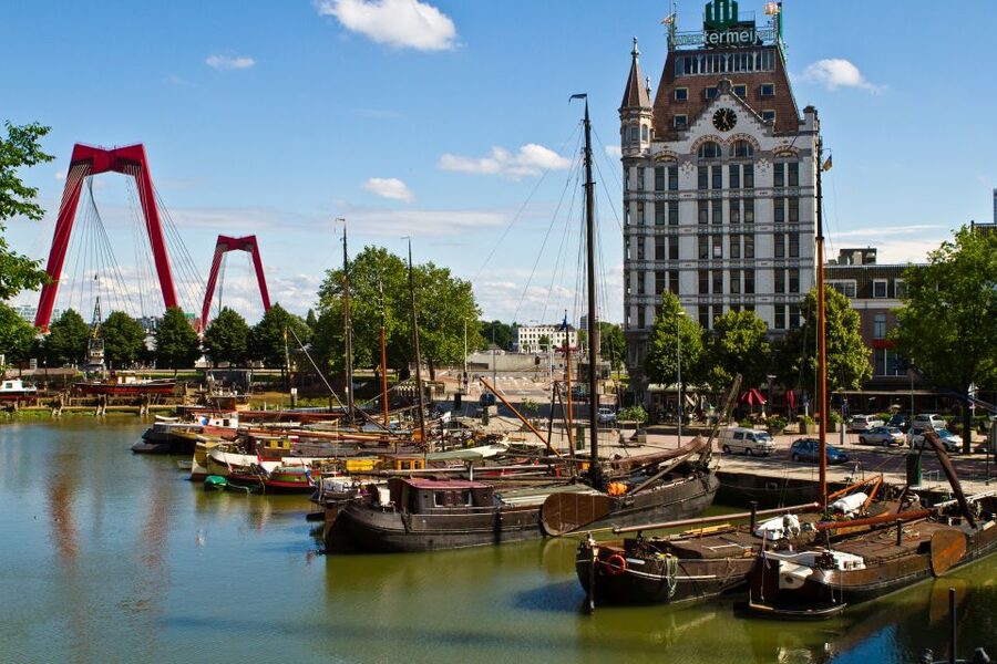 From Amsterdam: Rotterdam and The Hague Tour in Spanish - The Peace Palace and international law