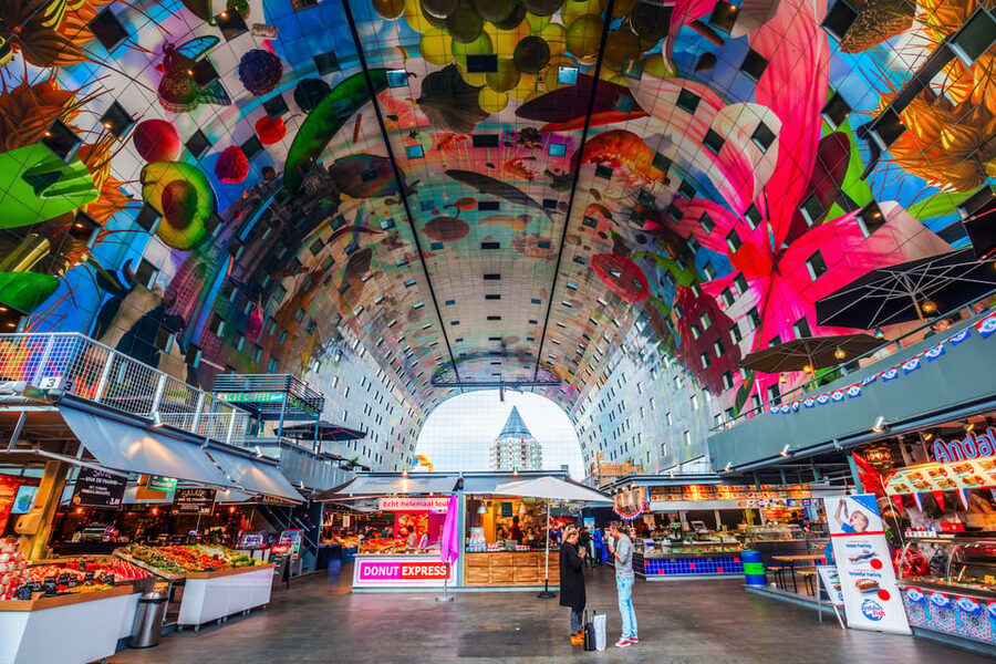From Amsterdam: Rotterdam, The Hague & Delft Private Tour - Guides who shape the day