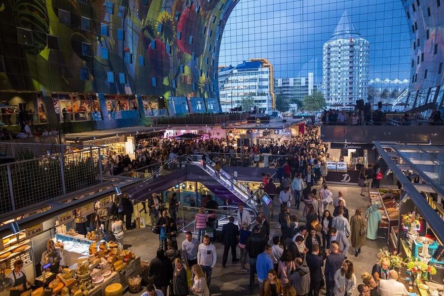 From Amsterdam: Rotterdam to The Hague and Delft - What the guide and private format mean