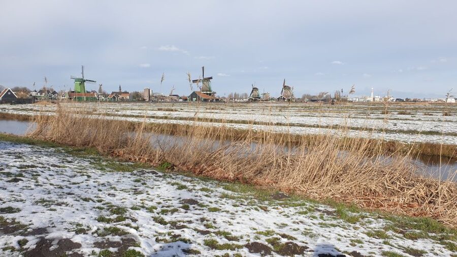 From Amsterdam: Small Group Zaanse Schans and Volendam Tour - Key points to know before booking