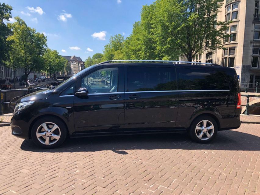 From Amsterdam: The Hague Private Trip and Mauritshuis Entry - Who will get the most from this private trip?