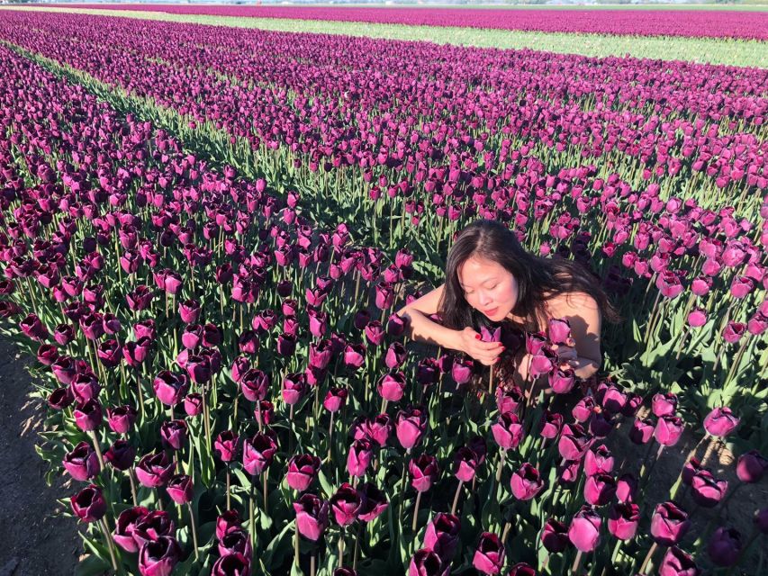 From Amsterdam: Tulip Tour Keukenhof & City Tour Delft - Delft offers a welcome change of scene