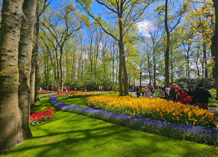 From Amsterdam: Tulip Tour Keukenhof & City Tour Delft - What the $169 price includes