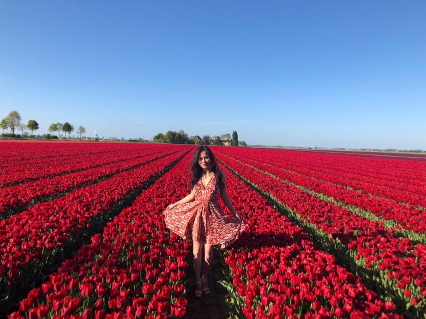 From Amsterdam: Tulip Tour Keukenhof & City Tour Delft - Who will enjoy this tour most