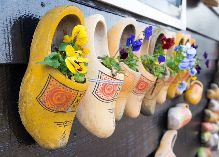 From Amsterdam: Windmills of Zaanse Schans Tour - Key points before you book