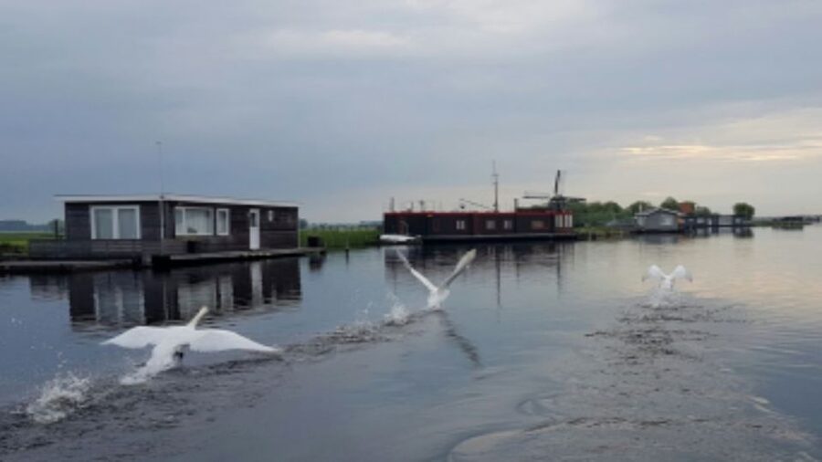 From Katwijk: Kaag Lakes Cruise - The 18 mills and the work of controlling water