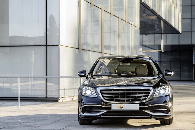 Full-Day Executive Chauffeur Service in Amsterdam - Who will get the most from this service