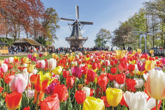 Full-Day Skip the Line Keukenhof and Canal Cruise from Amsterdam - Key points to know