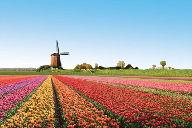 Full-Day Skip the Line Keukenhof and Canal Cruise from Amsterdam - A practical way to see Keukenhof from Amsterdam