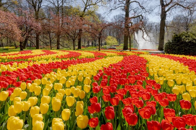 Full-Day Skip the Line Keukenhof and Canal Cruise from Amsterdam - Returning to Amsterdam without a rushed finish