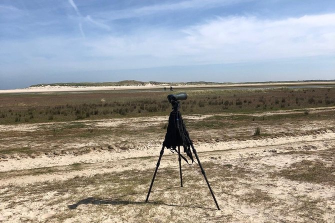 Full day tour to Texel - Friesian Islands - from Amsterdam - Birdlife and the optional seal safari