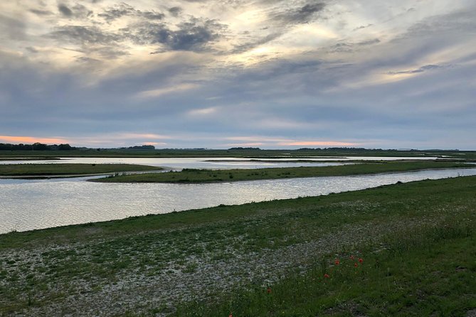 Full day tour to Texel - Friesian Islands - from Amsterdam - What the guide adds to a flexible day