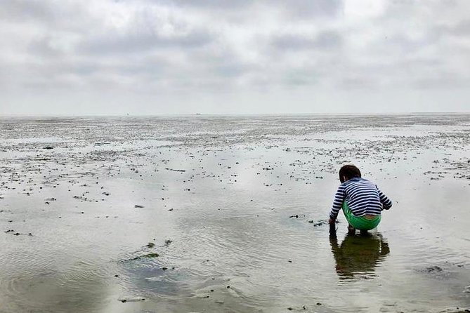 Full day tour to Texel - Friesian Islands - from Amsterdam - What is included, and what you still need to budget